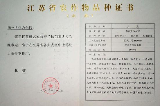 飼、食兼用大麥品種——揚飼麥3號 國家保護授權(quán)品種轉(zhuǎn)讓與技術(shù)推廣
